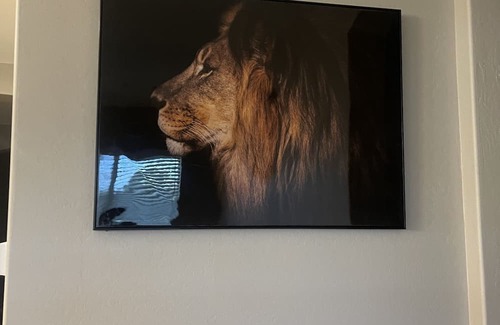 Maricopa Haus | Ann’s suite