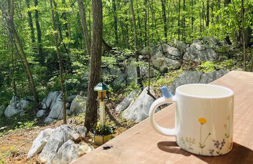 Newport Hütte | Whimsical Cottage in the Smoky Mountain Foothills