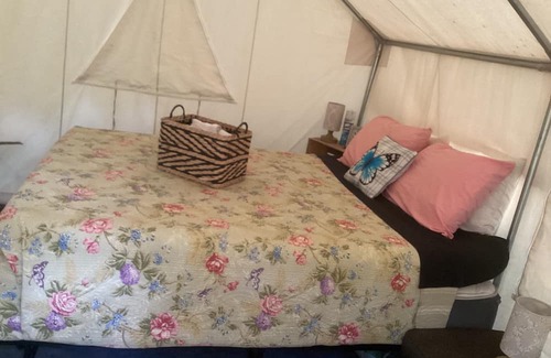 Unaka Wohnmobilvermietung | Sticks Creekside Living but close to all the breweries and The BlueRidge Rails.