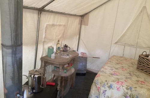 Unaka Wohnmobilvermietung | Sticks Creekside Living but close to all the breweries and The BlueRidge Rails.