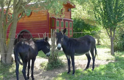 Sedeilhac Haus | Homerez - Beautiful bungalow for 4 ppl. with terrace at Sédeilhac