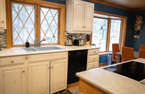 Novar Haus | Lakefront- Sauna, HotTub, WFH, Gym, Dock, kayaks