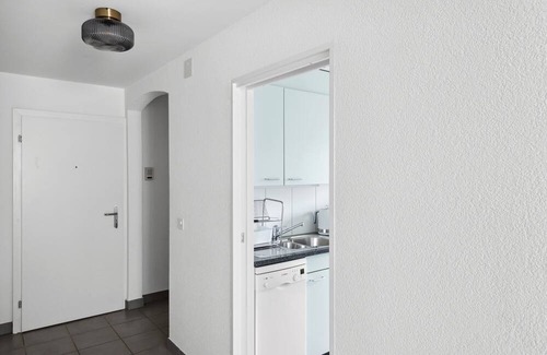 Wiedikon Wohnung | Your Ideal 1-Bedroom Sanctuary in Zurich!