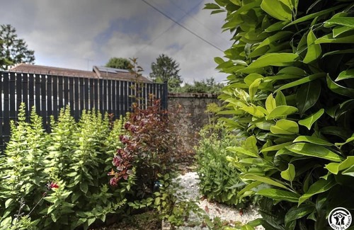 Saint-Cyr-sur-Menthon Haus | Le nid de la Poipe - Saint CYR SUR Menthon
