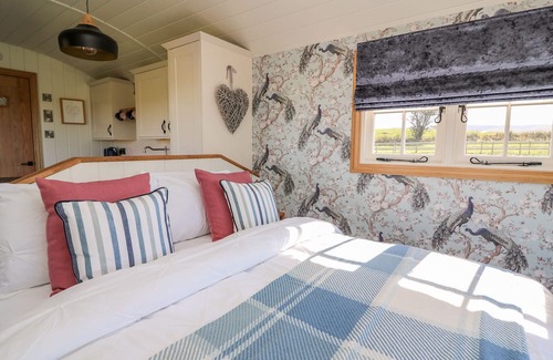 Pontrhydfendigaid Hütte | CWT Y GORS, pet friendly, with hot tub in Pontrhydfendigaid