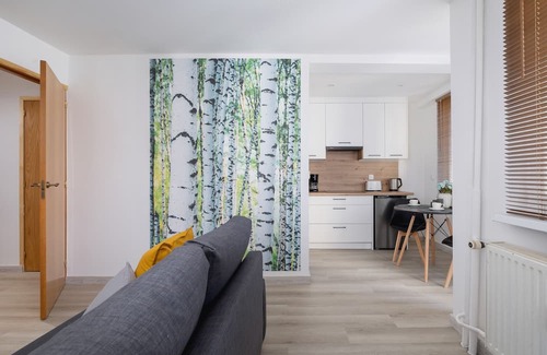 Katowice Wohnung | Ordona 20A | Katowice | 2 People | Studio | Remote Work | Furnished Balcony