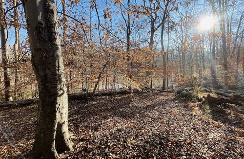 Clemmons Hütte | Escape to our cozy cottages nestled in Tanglewood Park's peaceful woods