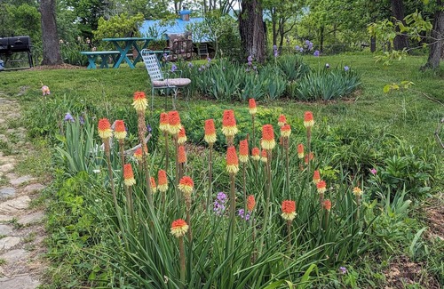 Blacksburg Haus | Blacksburg Apple Orchard