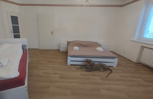 Podoli Wohnung | Apartmán Executive - Pankrác (90m2)