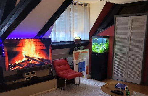 Soultz-Haut-Rhin Wohnung | Appartement Atypique
