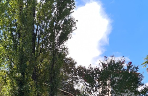 Candresse Haus | Domaine du Moulin de Candresse Le Moulin à eau 10mn de Dax, 35 mn de L'océan