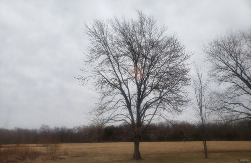 Ozark Wohnmobilvermietung | Primitive camping for April 8th 2024 southern illinois eclipse