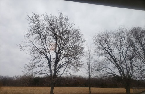 Ozark Wohnmobilvermietung | Primitive camping for April 8th 2024 southern illinois eclipse