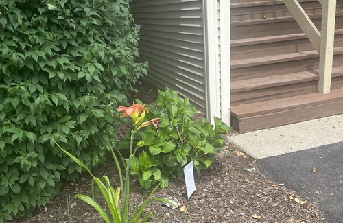 West Warwick Eigentumswohnung | 1 BR/1.5 Bath - 20 min from Beach!