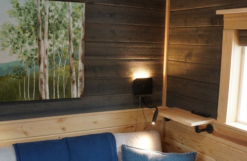 Pine Kabine | Tiny Cabin, Cozy in the Mountains - Pine Grove, Colorado