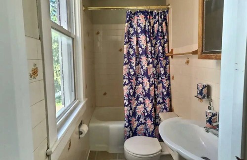 Cumberland Haus | 1910s historic brick home, 2 full baths, mountain views, walkable, pets welcome