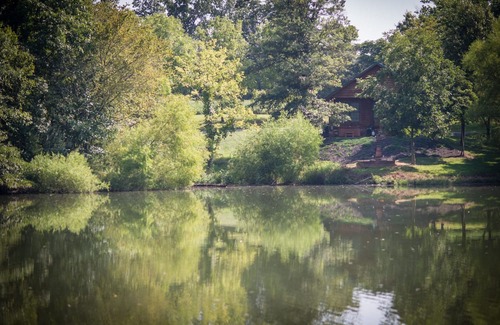 Carbondale Kabine | Hot Tub Cabin- In the Heart of Shawnee Wine Trail