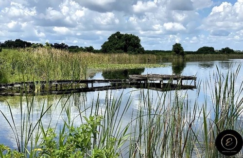 Nichols Wohnung | The Exclusive Tatman Evergreen Suite