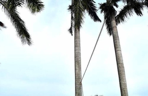 Placencia Haus | Nautical Inn 15-Delightful Tiny Home-Beach Resort
