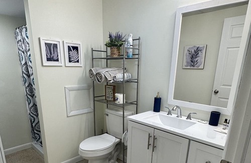 Williamsport Wohnung | Brand new! Cozy Hidden Gem in Loyalsock