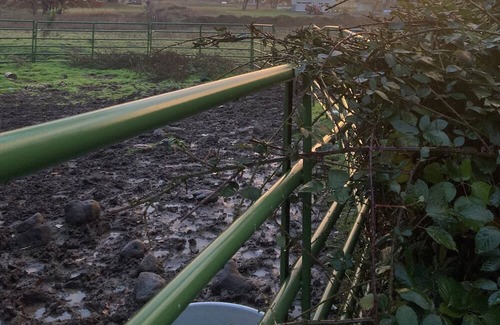 Eagle Point Sonstige | Open for the Holidays