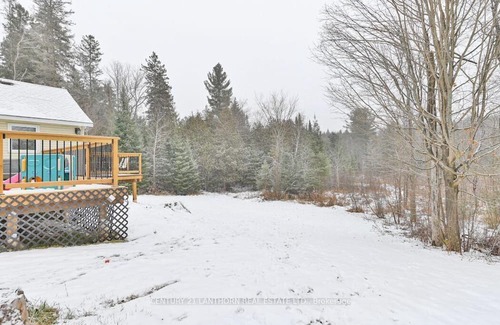 Cordova Mines Haus | Home in quiet rural setting, near lakes.