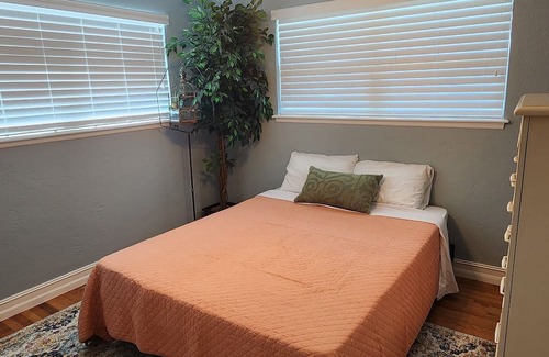 Ormond Shores Haus | Beautiful Beachside Pool Home located three blocks from the Atlantic Ocean