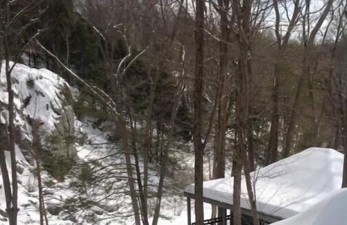 Bedford Hütte | Adirondacks in Westchester 2