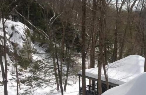 Pound Ridge Hütte | Adirondacks in Westchester