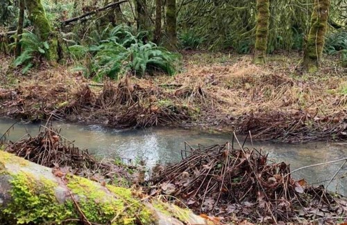Warren Wohnung | Secluded Luxury Escape 30 Minutes From Portland