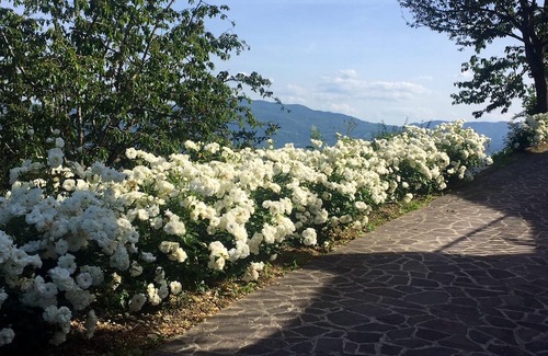 Gattaia Haus | Homerez - Beautiful house for 2 ppl. with shared pool at Gattaia