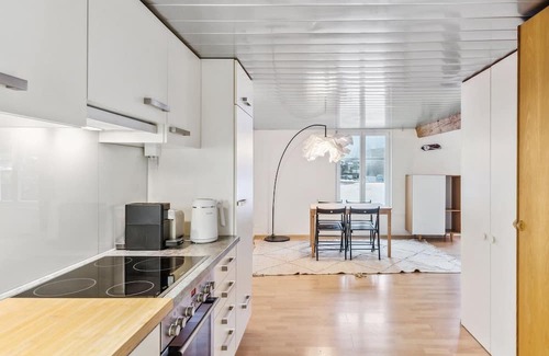 Dietikon District Wohnung | Cozy Studio Charm Sum