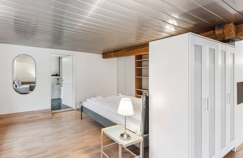 Dietikon District Wohnung | Cozy Studio Charm Sum