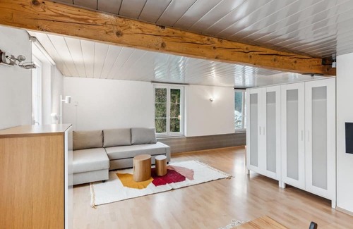 Dietikon District Wohnung | Cozy Studio Charm Sum