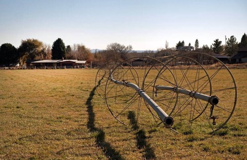 Wellington Haus | Nine Mile Ranch | 4BR, Views, Fireplace, Office