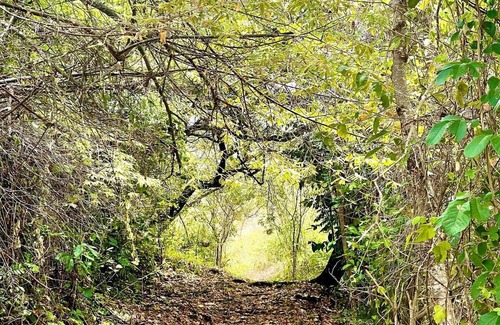 Venadillo Haus | 5. Ecopark Suite Fun Adventure and Nature