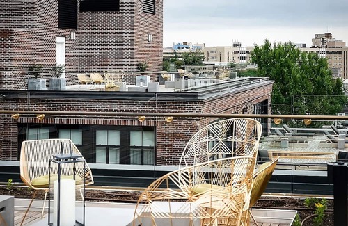 Adams Morgan Haus | DC Cultural Retreat, All-Suite Bliss with Central Location, Pets Stay For Free!