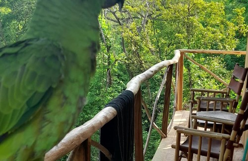 Rio Seco Kabine | Rustic Costa Rica experience. wooden house in the trees.