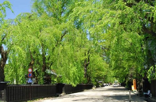 Samurai District Haus | NonsmokingWesternstyle room with 1 night and 2 meals Kiritanpo nabe /Semboku Akita