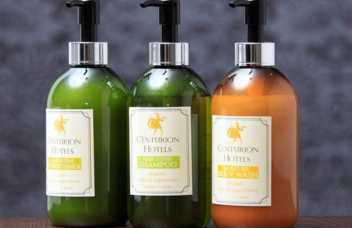 Fukui Haus | Advance payment Centurion standard plan Smo / Fukui Fukui