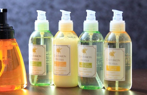 Fukui Haus | Advance payment Centurion standard plan Smo / Fukui Fukui