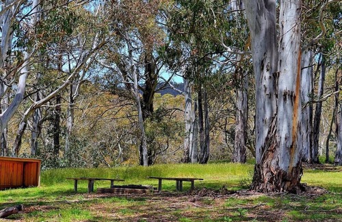 Adaminaby Kabine | Your gateway to an unforgettable holiday experience in the stunning Snowy Mountains!