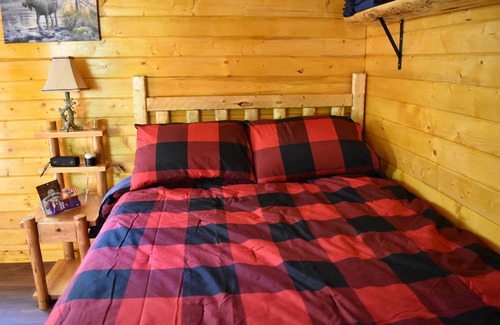 Bellis Kabine | RUGER RIDGE A Tiny Cabin, Off Grid In The Woods