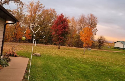 Hannibal Wohnung | Granny's Nest