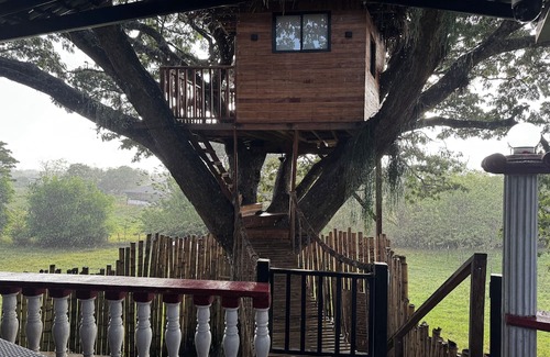 El Cerrito Hütte | Cabaña en un árbol en Santa Elena