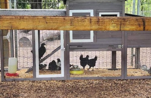 O Brien Wohnung | Little River Spring Cave divers poolside Hideaway