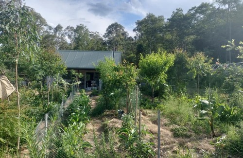Koreelah Kabine | Offgrid Tiny Home in a Food Forest Garden