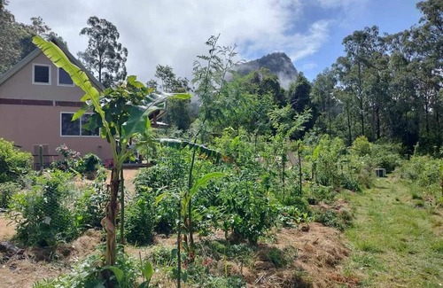 Koreelah Kabine | Offgrid Tiny Home in a Food Forest Garden