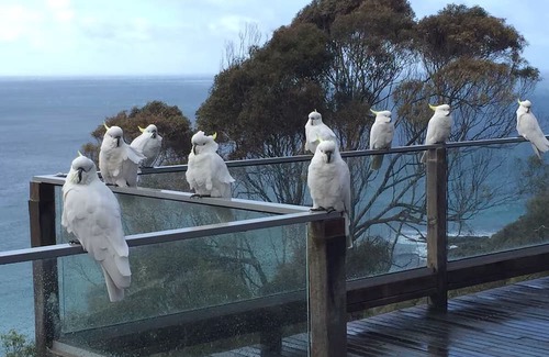 Wye River Haus | Arguably the best views in Wye River