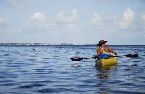 Fruitville Kabine | Gypsy Mermaid Caravan Tiny House Glamping!